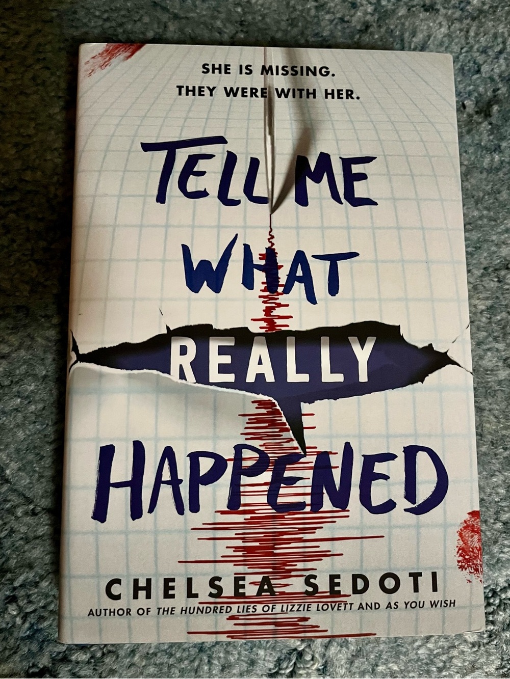 Tell Me What Really Happened by Chelsea Sedoti